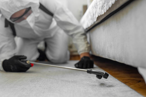 Professional Termite Control technician working in Stewart County County, TN